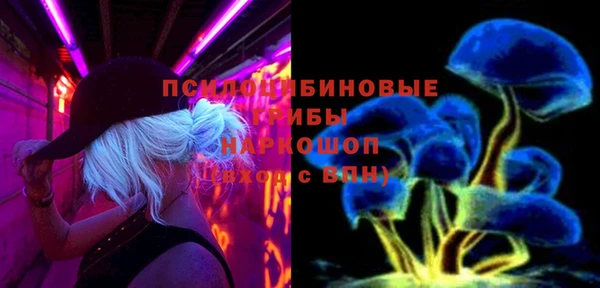 а пвп мука Кукмор