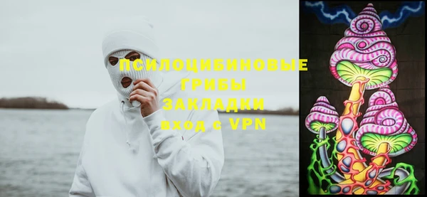 2c-b Лагань