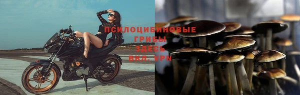 а пвп мука Кукмор