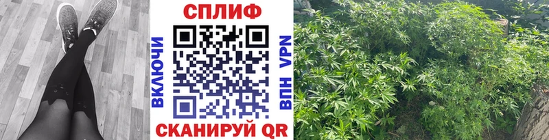 Купить закладки  Верхняя Салда  Бошки Шишки MAZAR 
